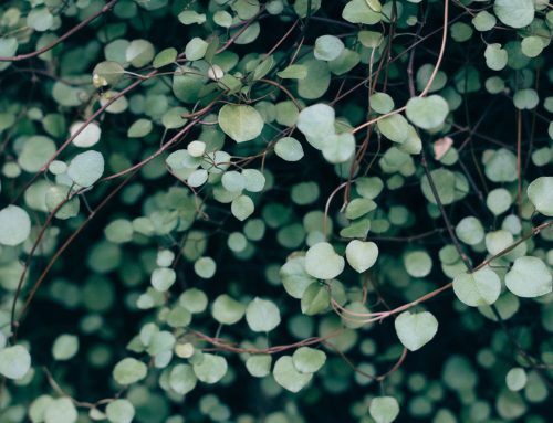 COVID-19 and international tax measures: Summary per region